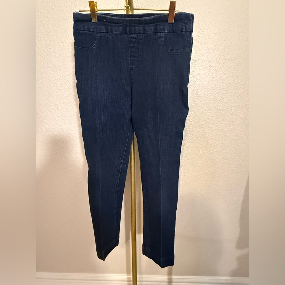 Soft Surroundings Indigo Skinny Pull-On Jeans  (B7)